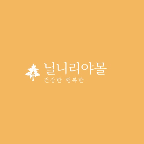 http://instashop.srookpay.com/data/goods/csyel4736/logo/thum/로고.png