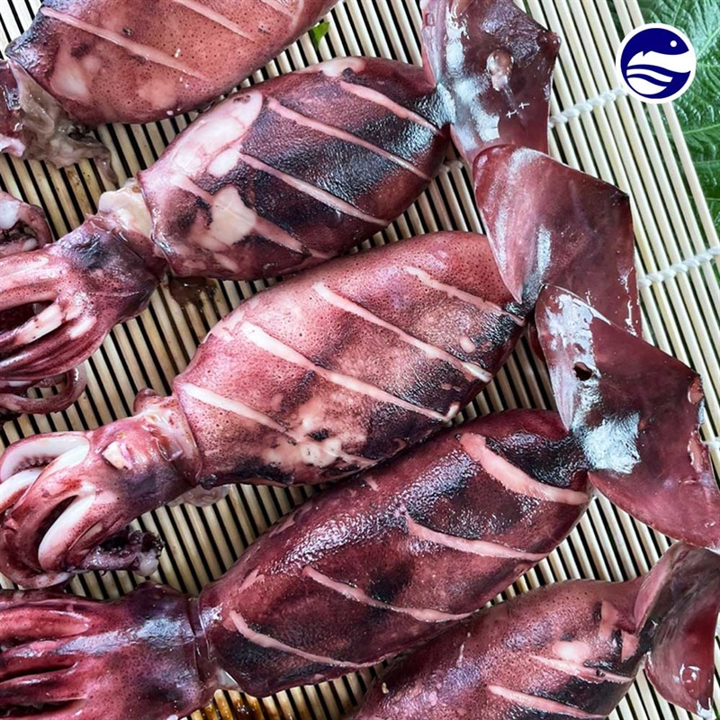 녹진~한 통찜용 오징어 500g / 통찜용 총알 한치 500g